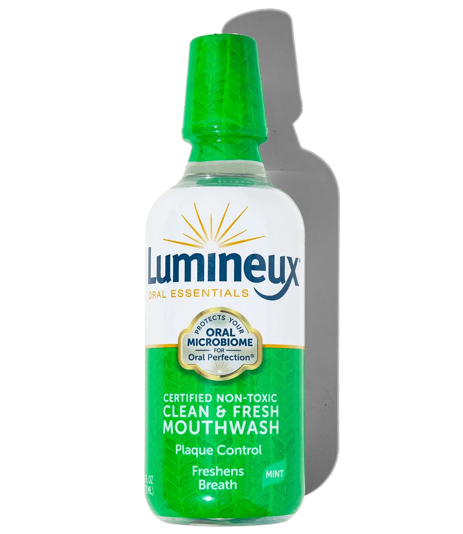 Clean & Fresh Mouthwash - 16oz